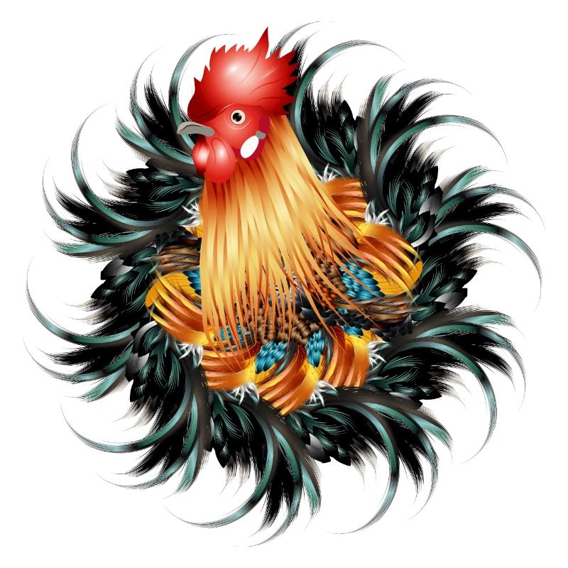 magnificent rooster in feather frame
