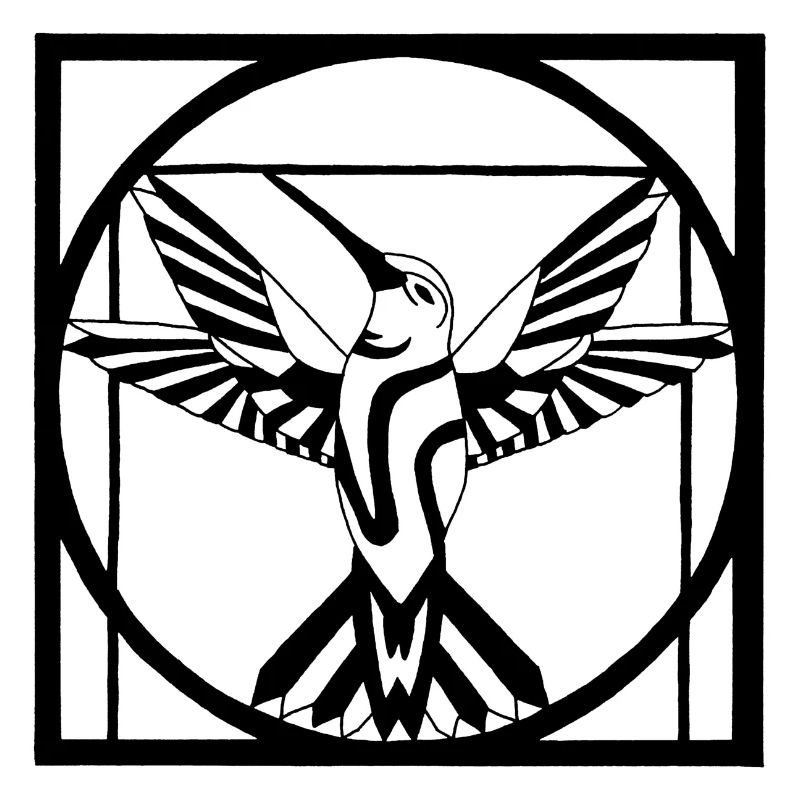 Oiseau noir Vitruve