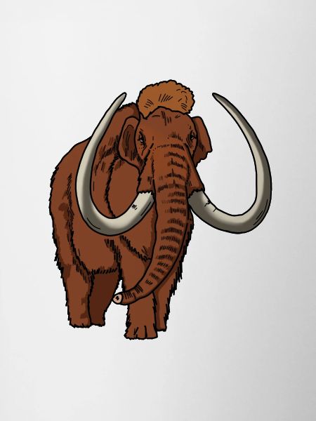 Mammut farbig
