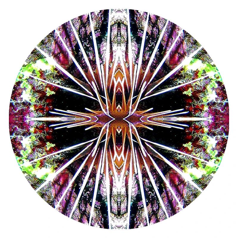 Nature Mandala Underwater, Lionfish