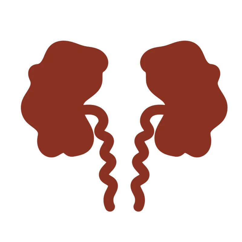 Kidney failure kidney failure