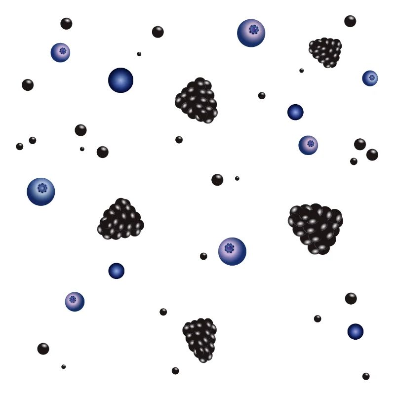 bleuets brillants et mûres comme pot-pourri