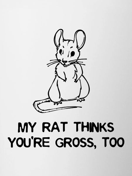 Ratte Statement Haustiere Tiere Heimtier