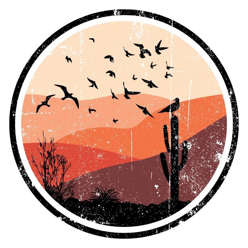 Desert Sunset Birds Silhouette
