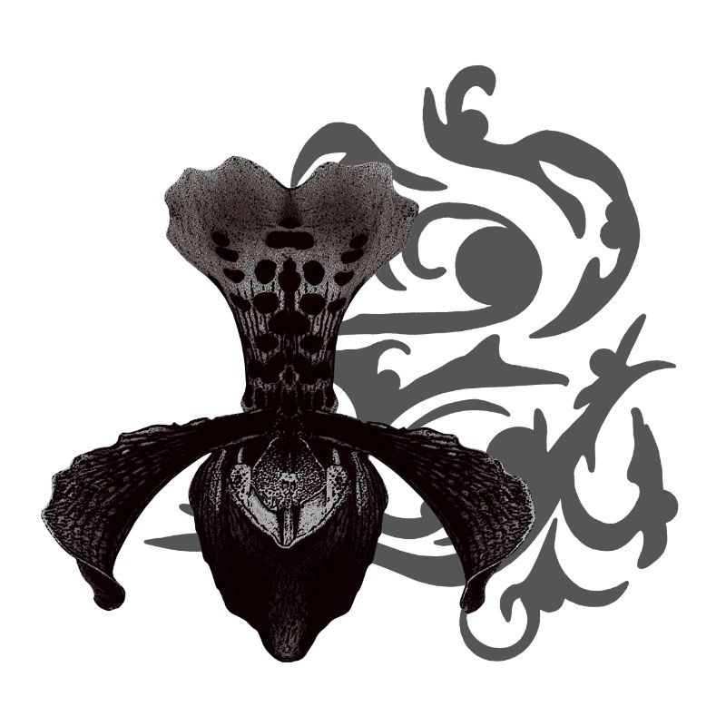 orchideen, tribals, gothic designs