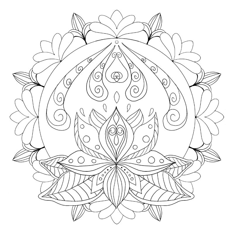 Lotus