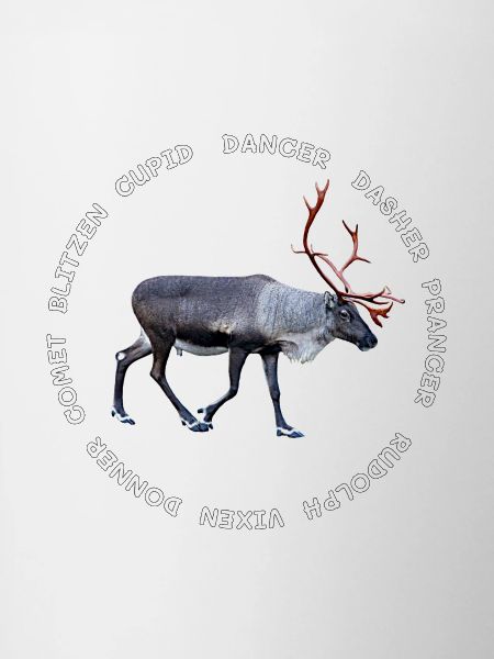 All santas reindeer