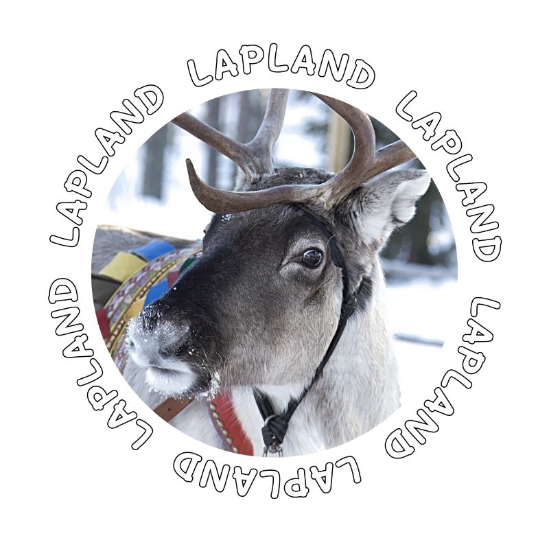 Renne de Laponie