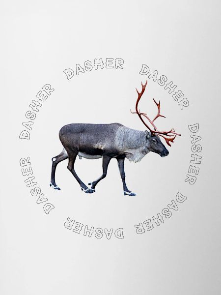 DASHER