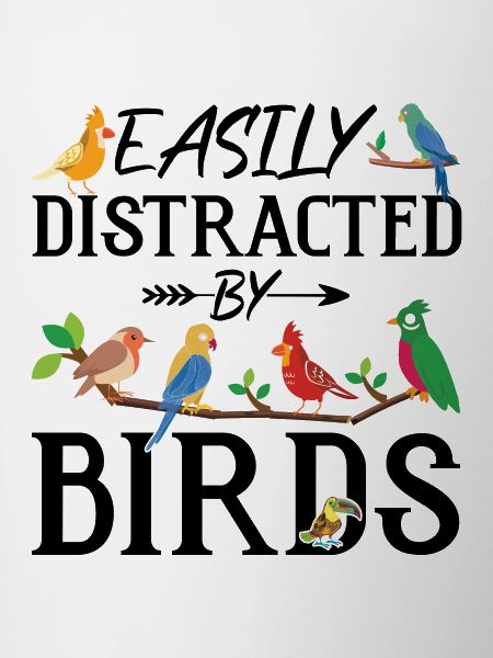 Easily Distracted by Birds