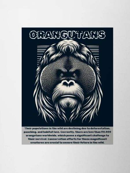 Orangs-outans