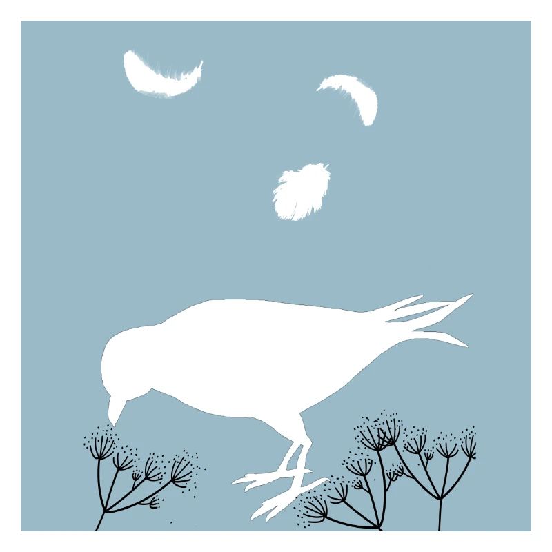 Bird Silhouette and Feathers
