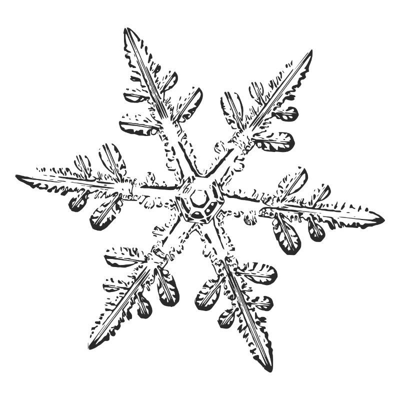 snowflake 8 black
