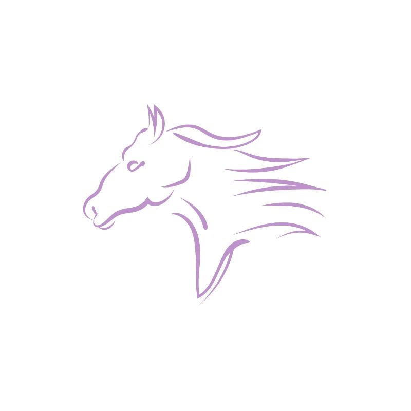 Tête de cheval rapide