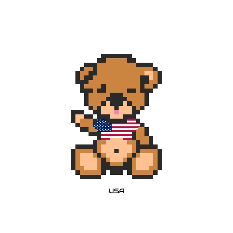 Pixel Bear USA