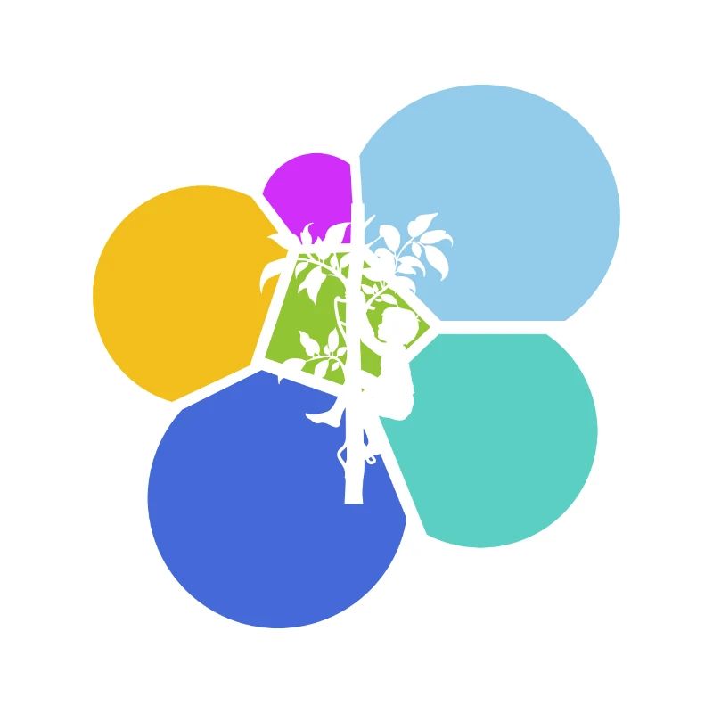 Escalade de grimpeur