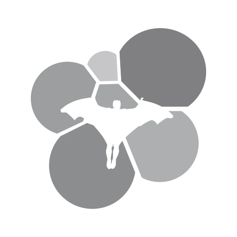 Wingsuit Flying Base Jumping