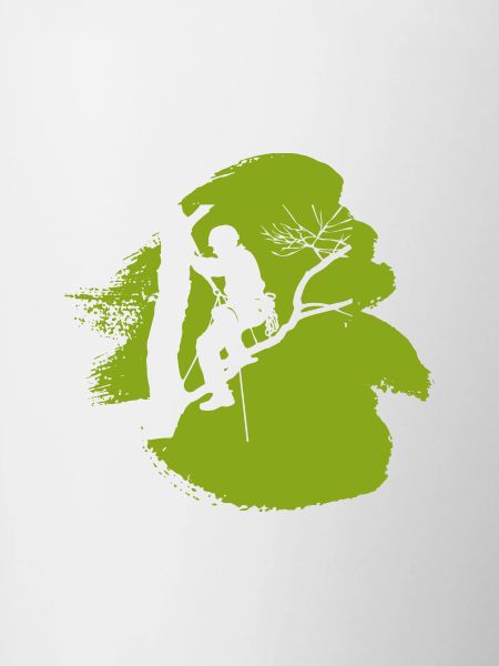 Tree climbing crampons