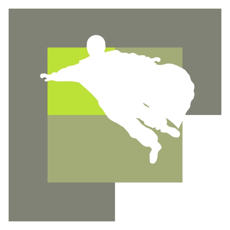 Wingsuit Glider Suit