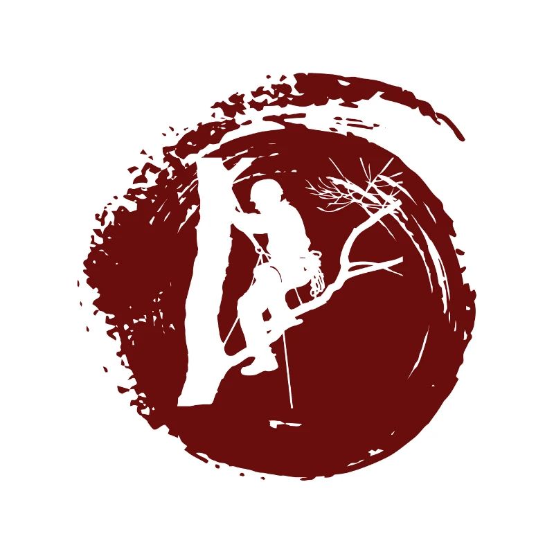 Baumklettern Ausrüstung