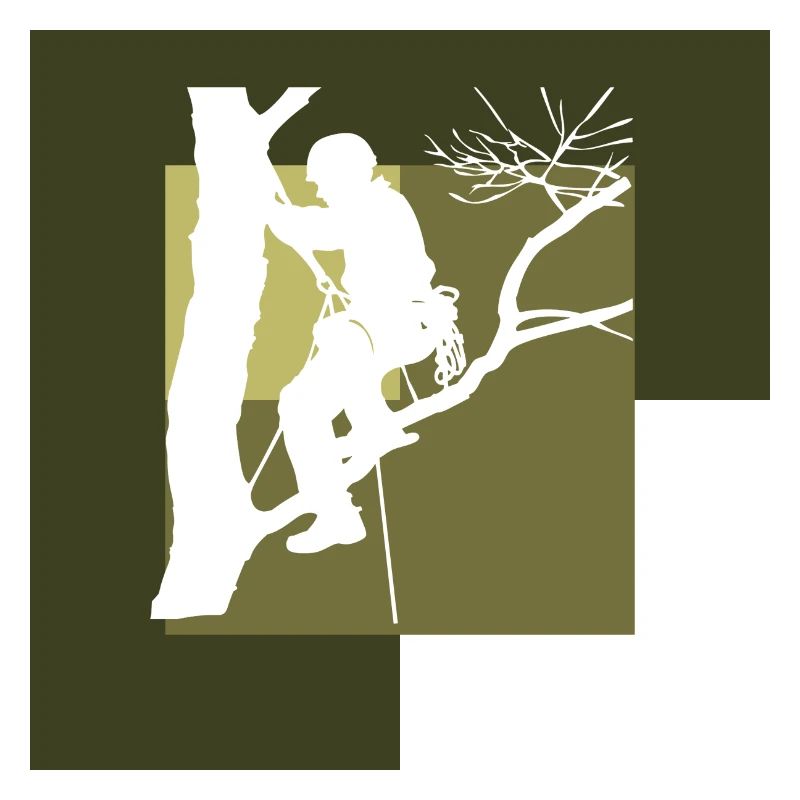 Tree Climbing Climbing Ascent