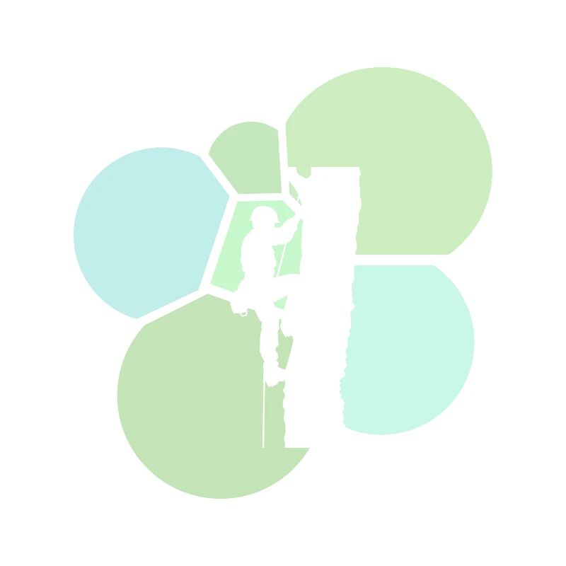 Climbers Tree Climbing Climbing