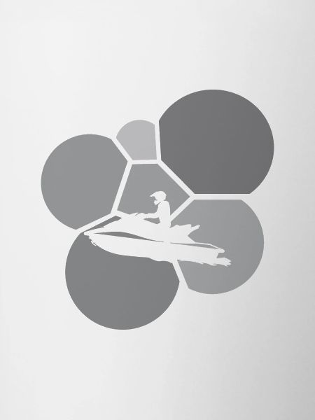 Water ski