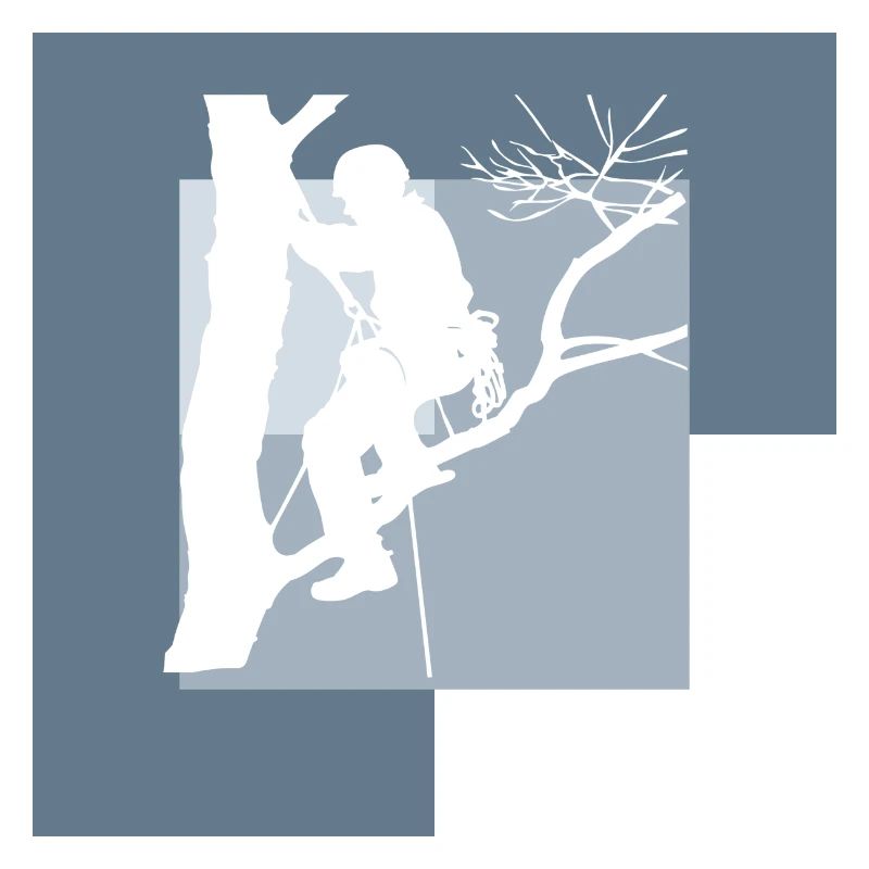 Crampons grimpeurs d’arbre
