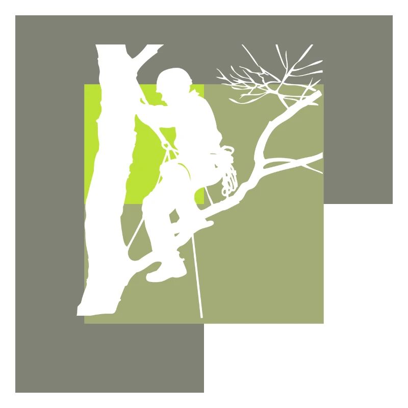 Climbing Monkey Tree Climbing