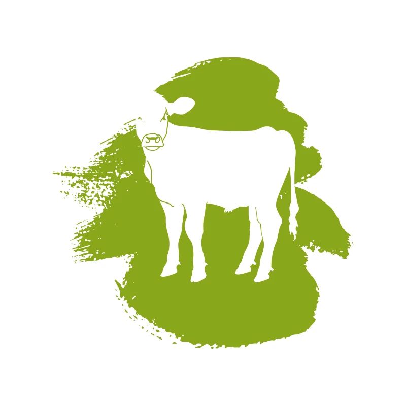 Veganerin Pflanzlich Fleisch