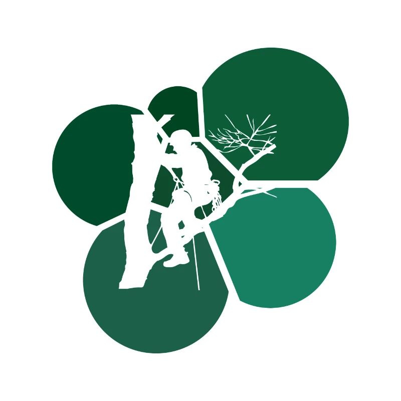 Climbers Tree Climbing