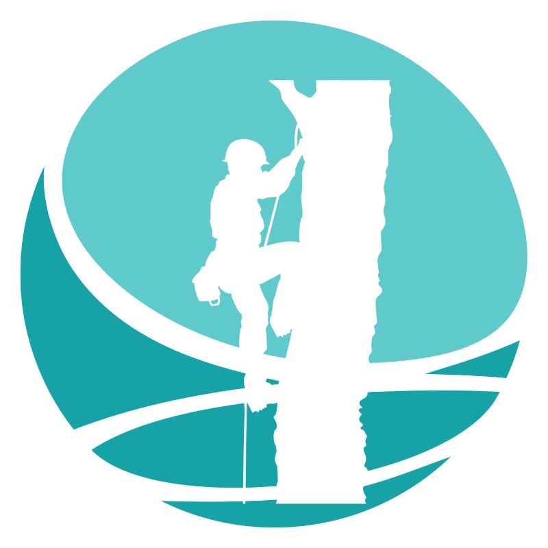 Climbing Tree Climbing Ascent