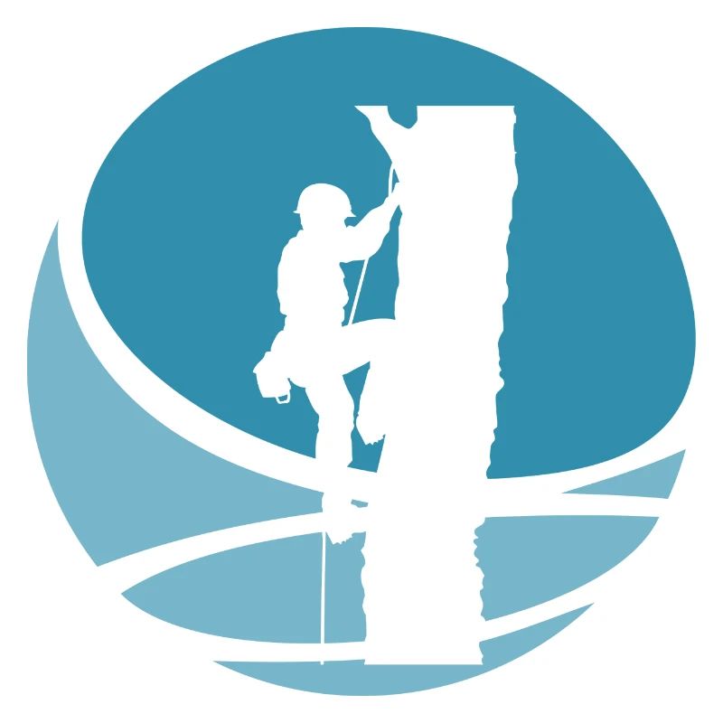 Tree Climbing Climbers