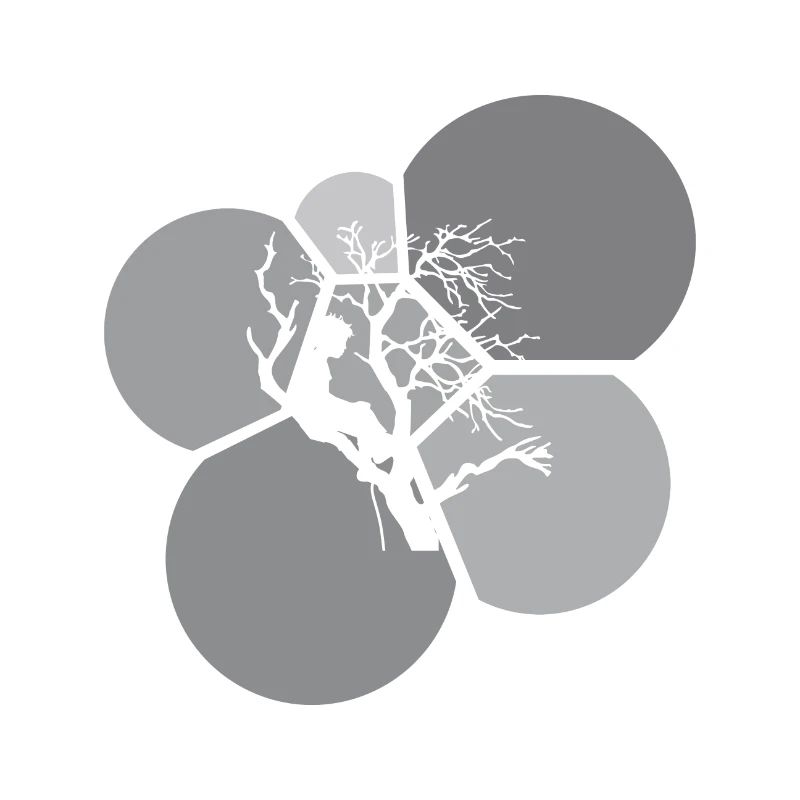 Baumklettern Kletterer