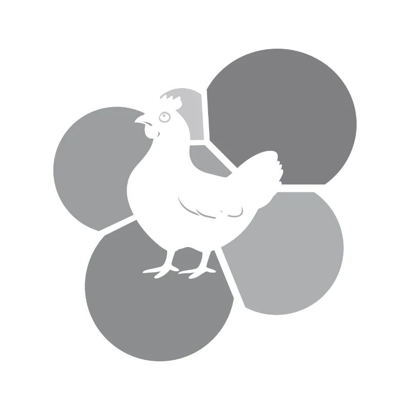 Chickens Chicken Coop Easter