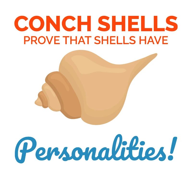 Conch Seashells Collector Beachcomber Sea Shell