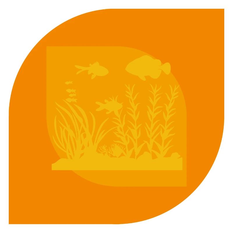Calmar d’aquarium