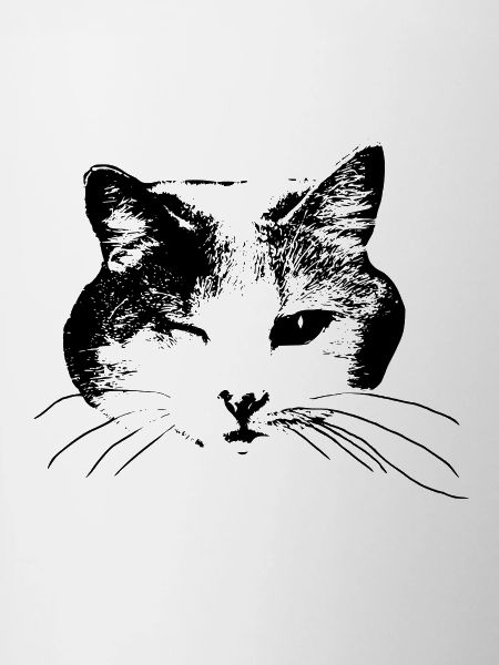 Kitty wink