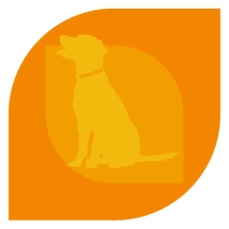 Dog Training Dog Educator Agility