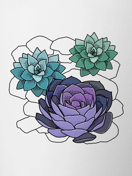 Succulentes
