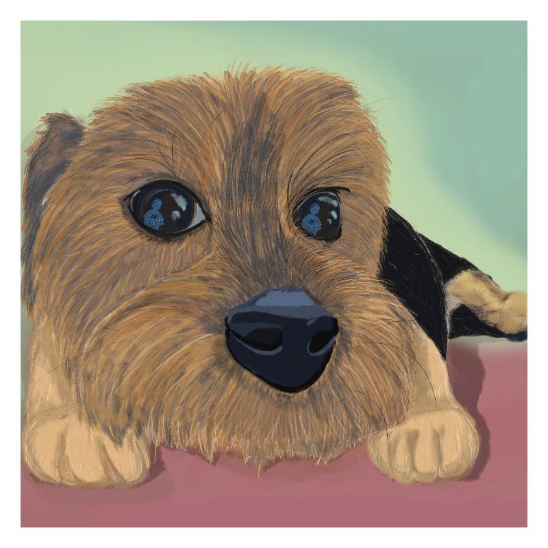 Yeux de chien ou réflexe d’amour