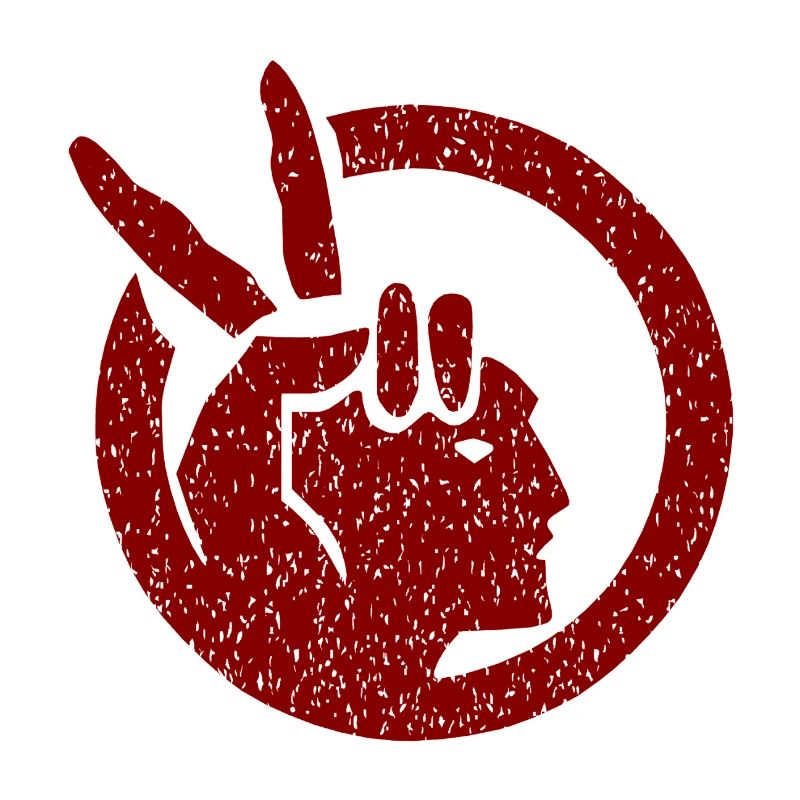 Drapeau de l’American Indian Movement