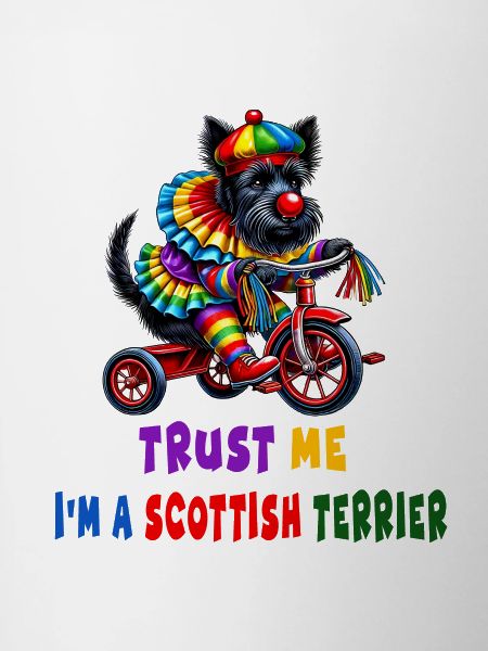 Clown Terrier on Tricycle