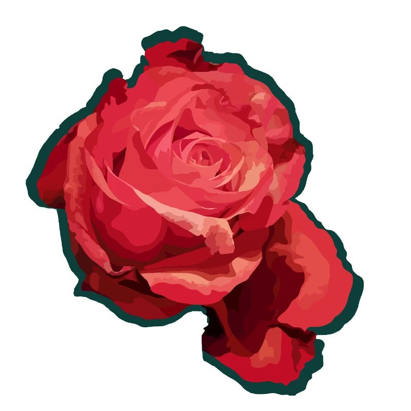 Rote Rose