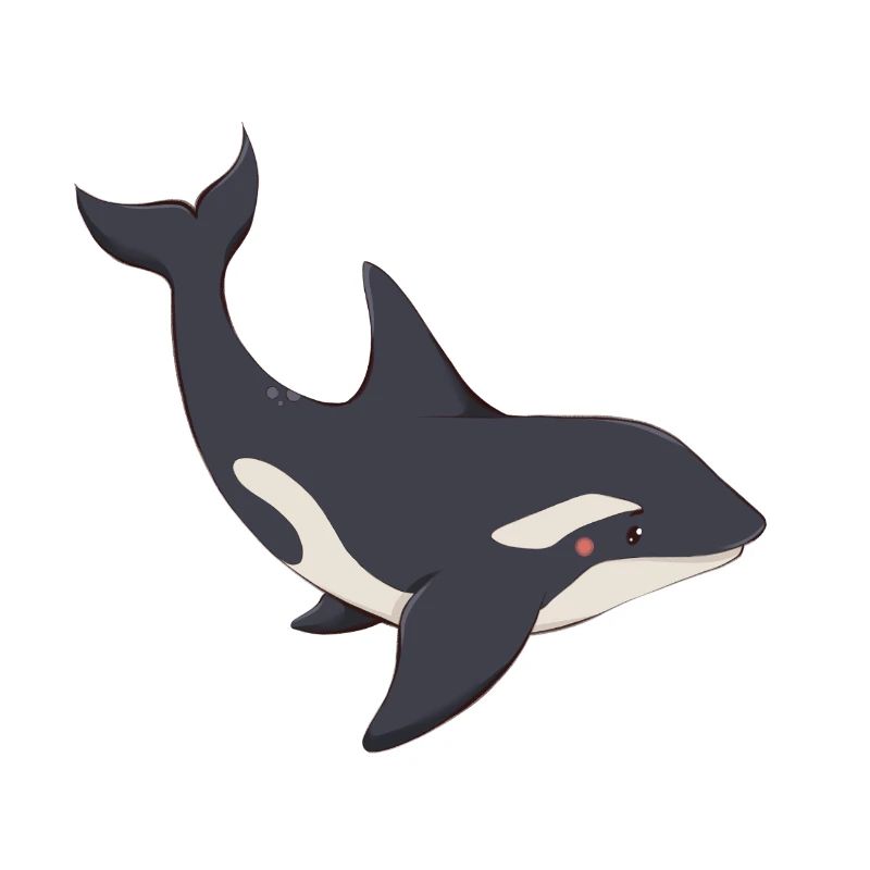 Orca