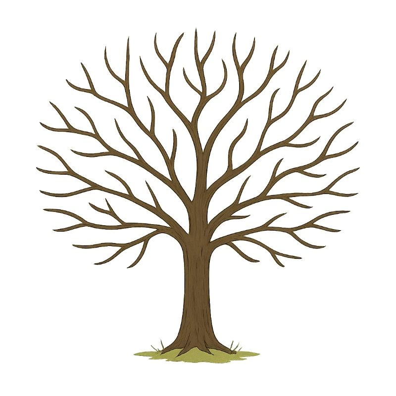Winter Tree Silhouette