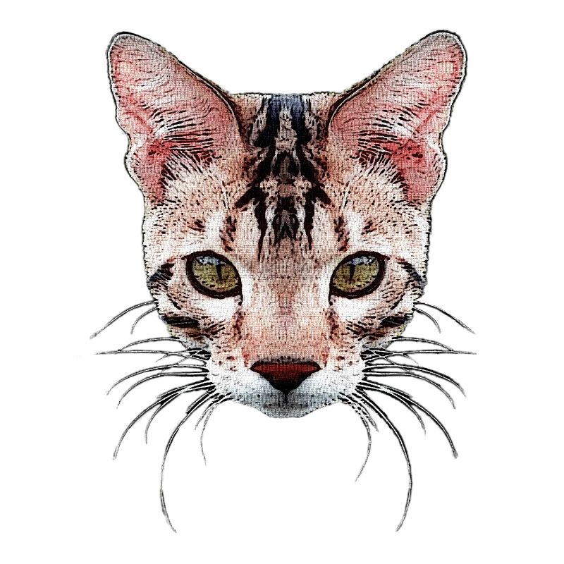 bengal katze, besitzer, verschenken