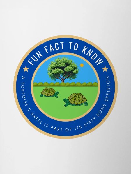 A tortoise fact