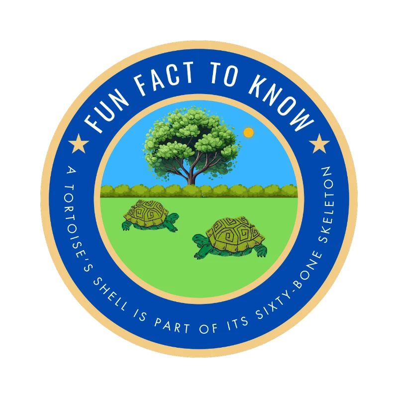 A tortoise fact