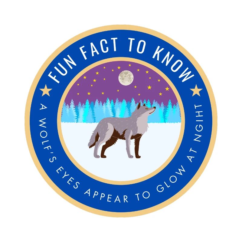 A wolf's eyes appear to glow at night